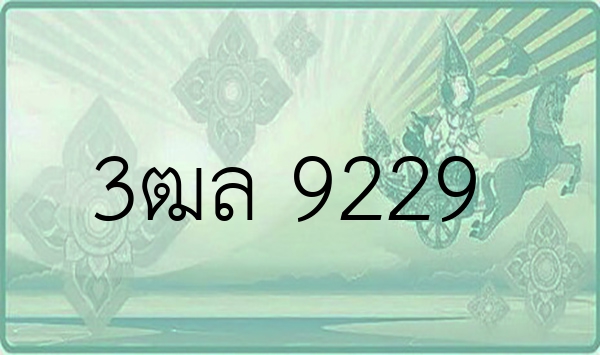 3ฒล 9229